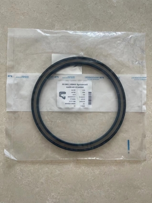 Skeleton Oil Seal Part Number 180X210L08N For Kessler Driven Axle